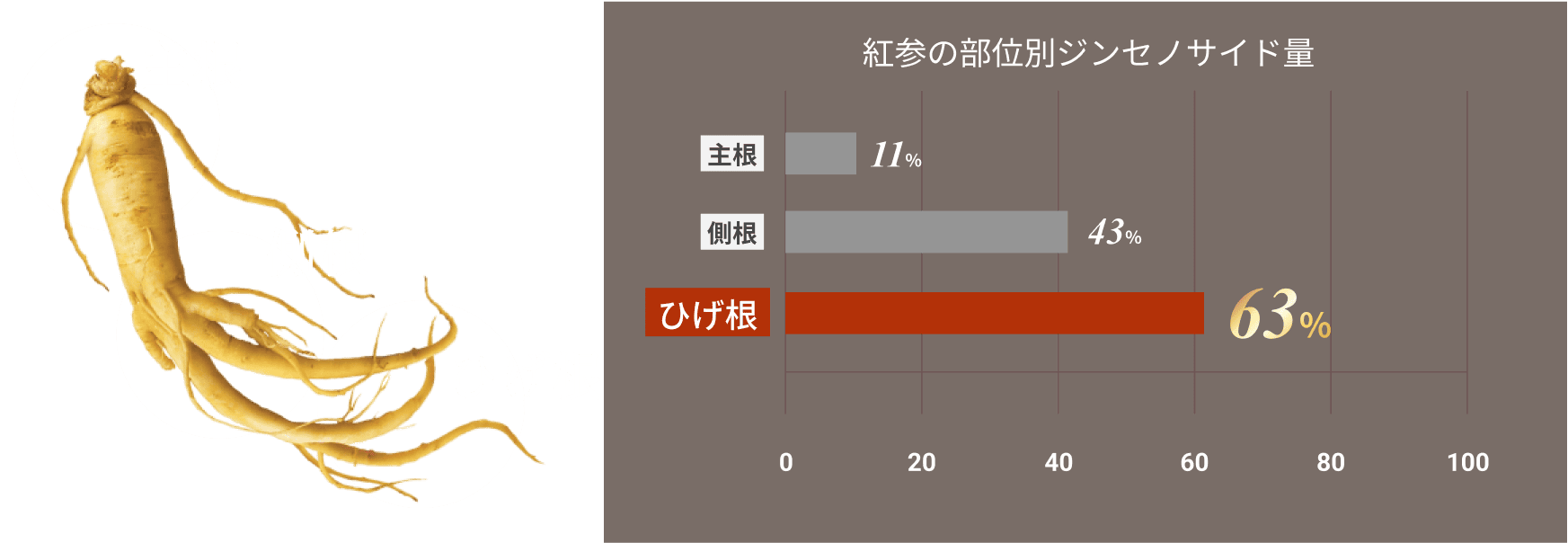 紅参の部位別ジンセノサイド量グラフ画像
