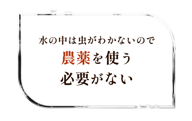 農薬を使う必要がない