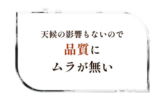 品質にムラが無い