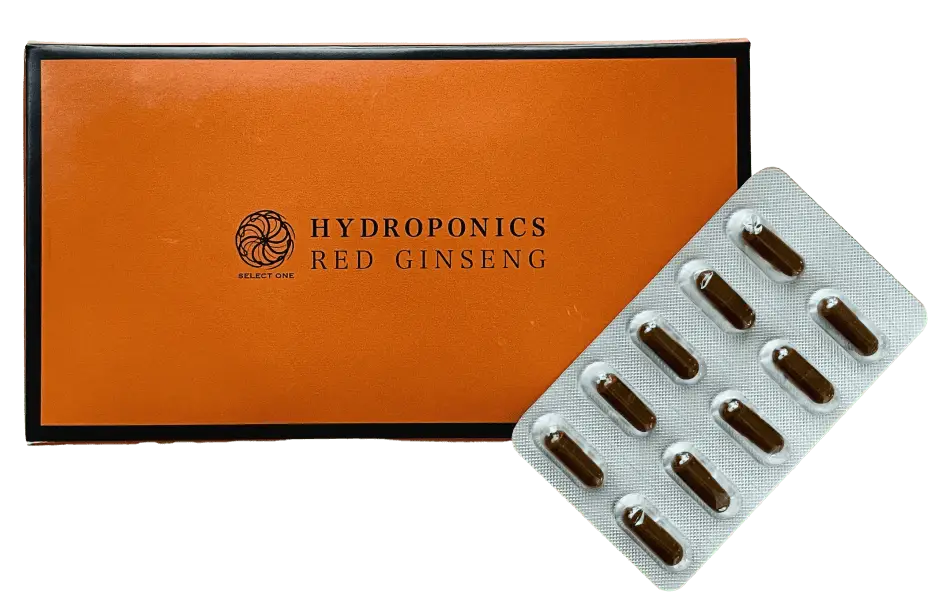 高麗人参サプリメント商品画像