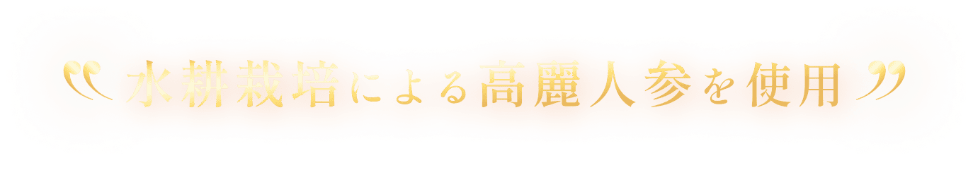 水耕栽培による高麗人参を使用