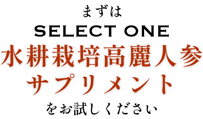 まずはSELACTONE水耕栽培高麗人参サプリメントをお試しください