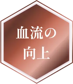 血流の向上
