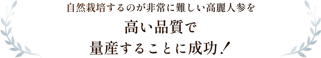 自然栽培するのが非常に難しい高麗人参を高い品質で量産することに成功!
