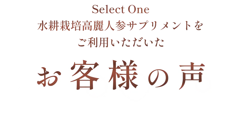 お客様の声