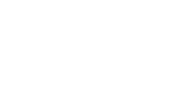 全体数のわずか0.03％